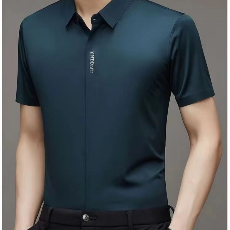 Men Formal Wear Summer - MenS Wrinkle Free Long Sleeve Dress